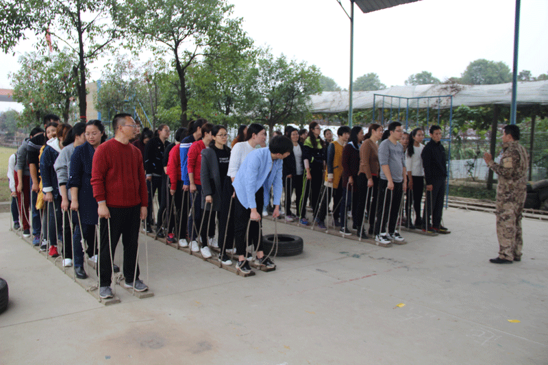 1511249303261066488.gif 1511249303261066488.gif